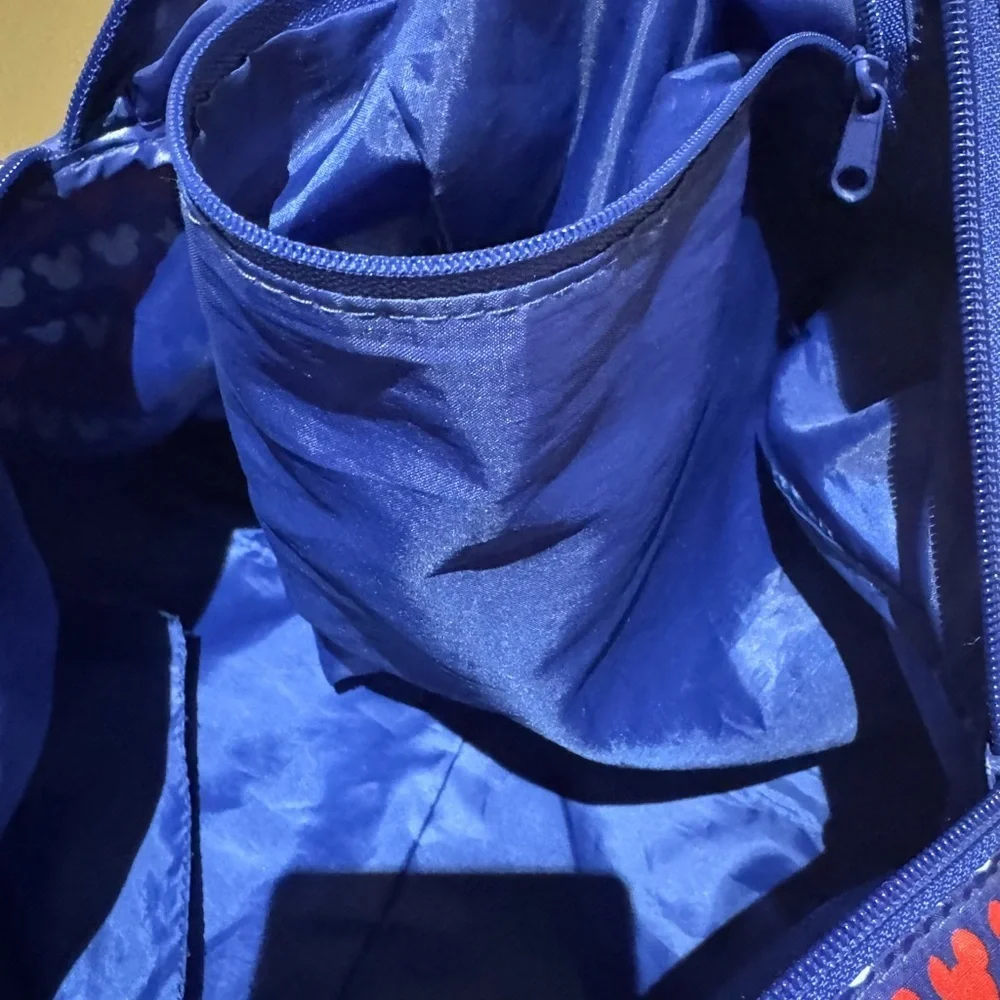 Disney this bag